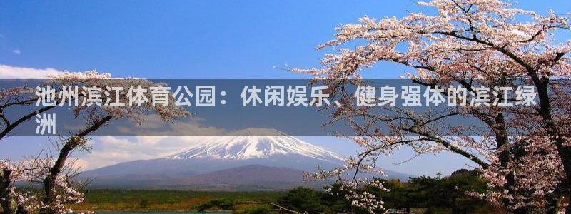 必一体育网页登录版官