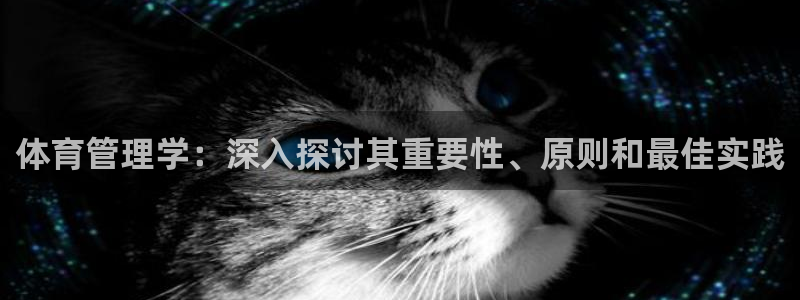 必一体育官方网站入口