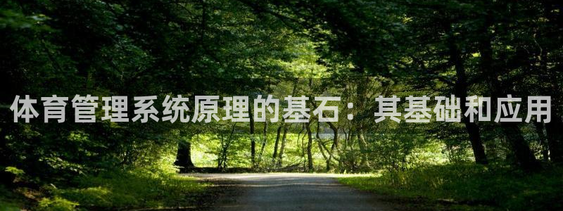 必一体育电子app：