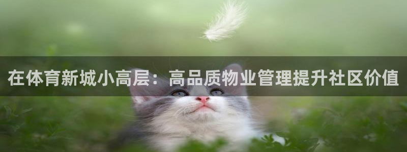 必一体育是哪里的台子