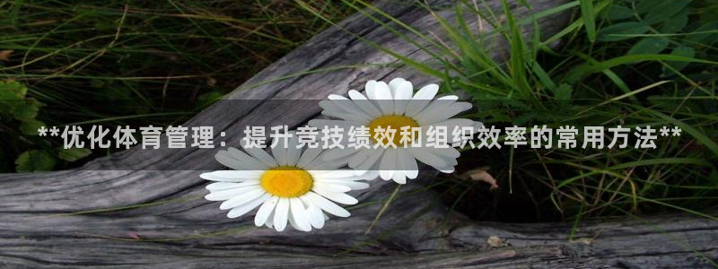 必一体育app官方：
