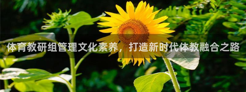必一体育下载义：体育