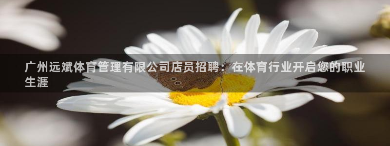 必一体育下载义：广州