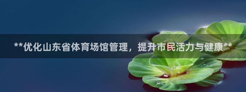 必一体育验证码：**