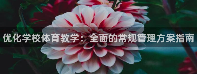 必一体育app下载最