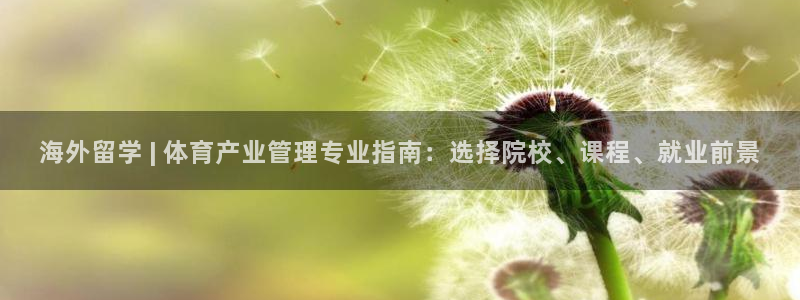 必一体育在线登录：海