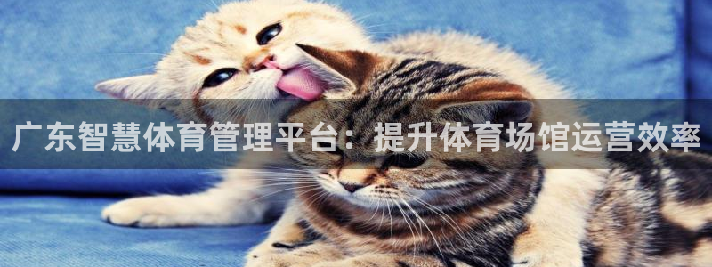 必一体育皮尔斯：广东