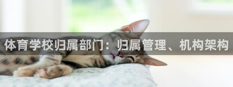 必一运动官网：体育学