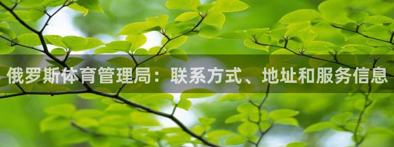 必一体育运动app下