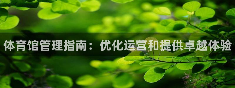 必一体育登录入口：体