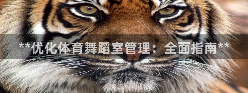 必一体育网页版登录：
