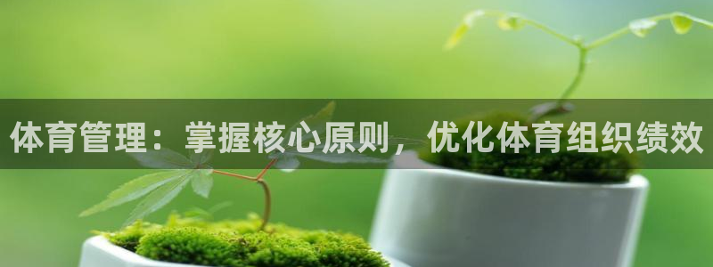 必一体育sport官