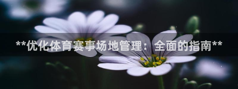 必一体育app下载安