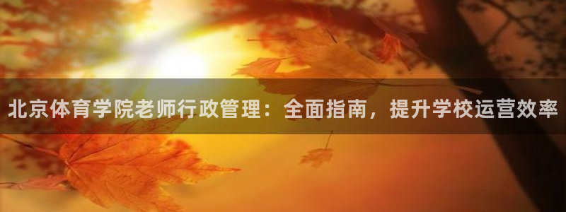 必一体育是哪里的台子