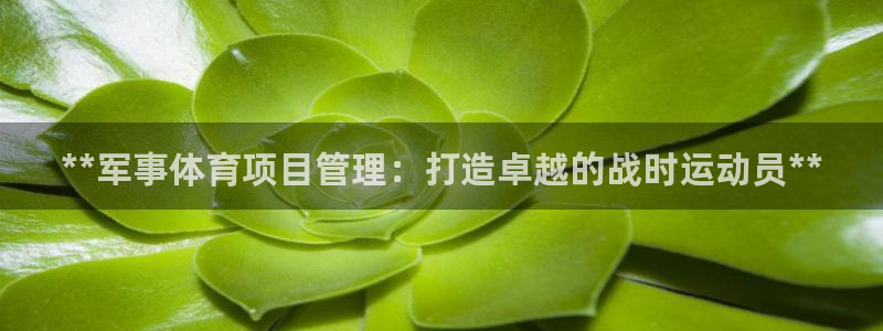 必一体育皮尔斯：**