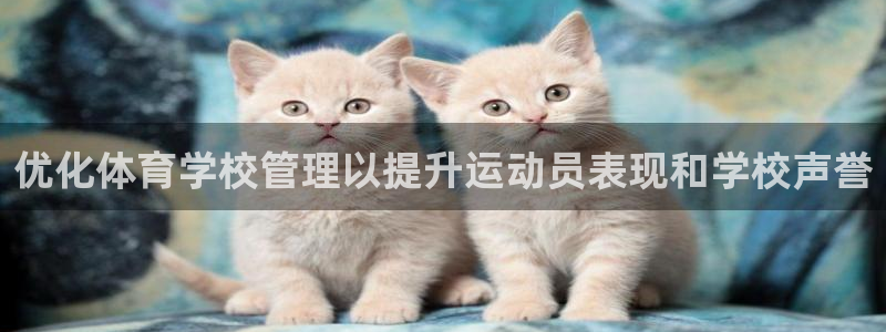 必一体育在线登陆：优