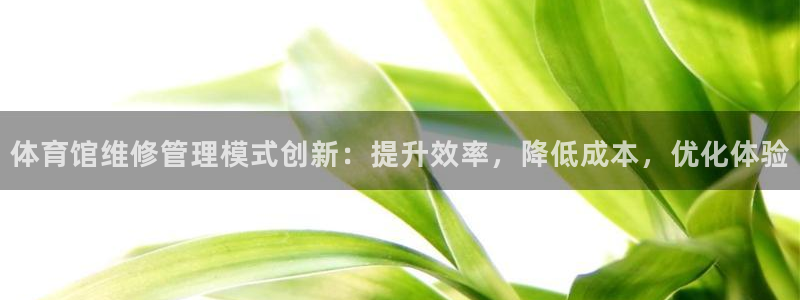 必一体育登录：体育馆