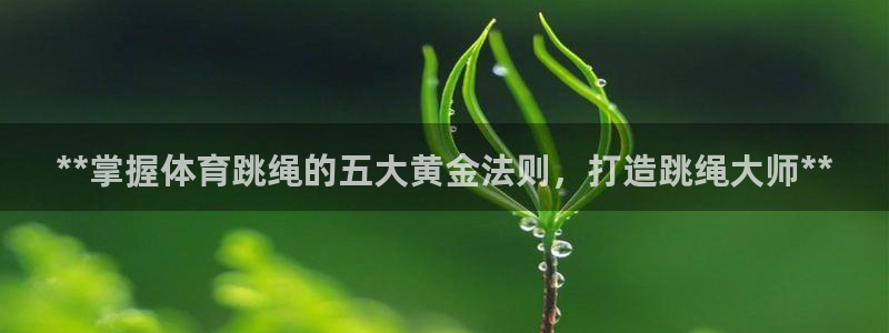 必一体育在线官网：*