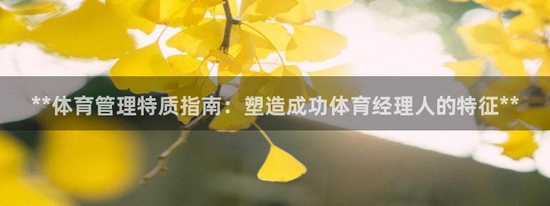 必一体育app官方正