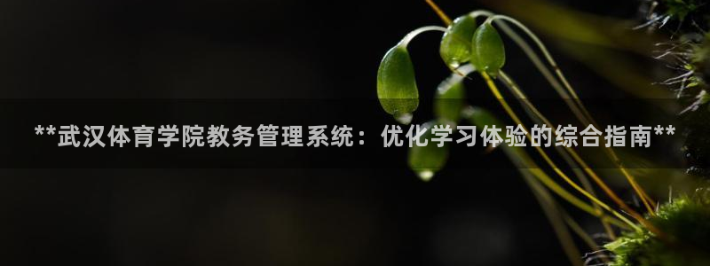 氵必一一厂一：**武
