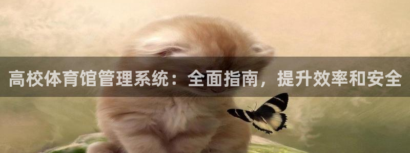 必一体育黑钱：高校体