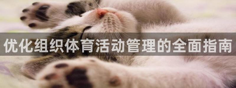 必一体育网页登陆：优