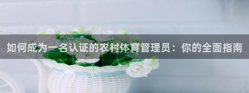 必一体育sport装