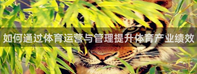 必一体育bsport