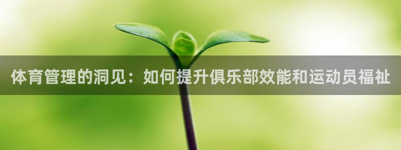 必一运动体育官网下载