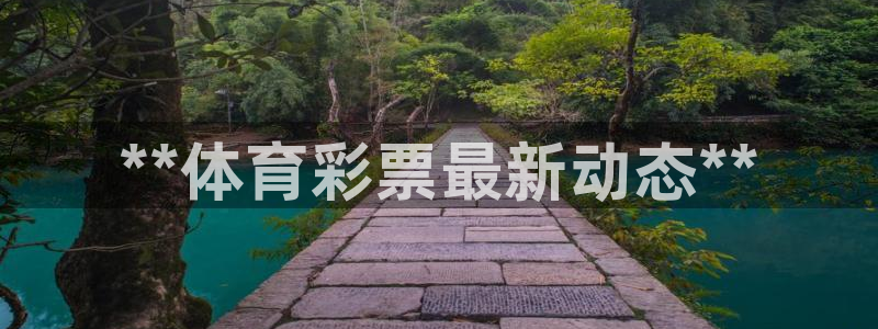 必一体育网页登录版官