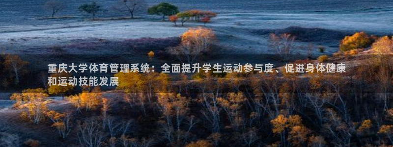 必一体育是啥：重庆大