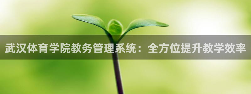 必一体育怎么下载：武