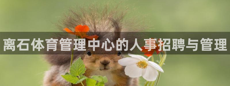 必一体育下载app：