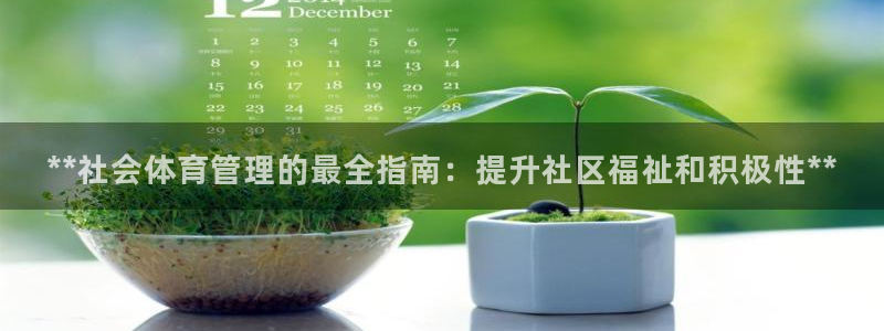 必一体育sport：