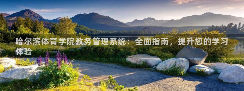 必一体育官网入口：哈