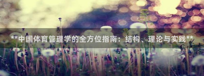 必一体育最新官网入口