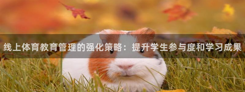 必一体育在线登陆：线