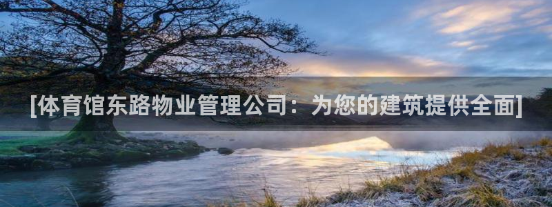 b体育必一运动网页版