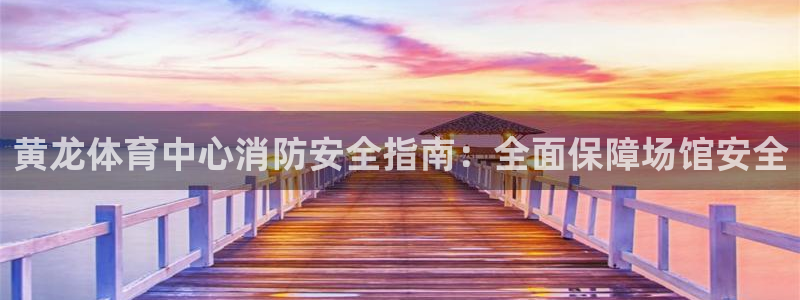 必一体育在线登录：黄