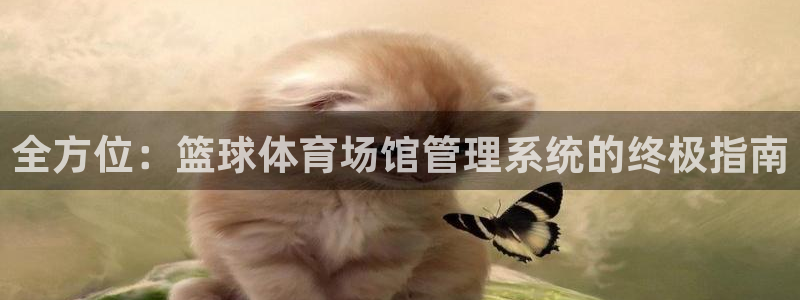 必一体育服下载最新版