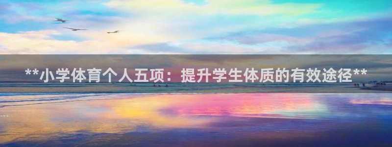 必一体育网页登录版官