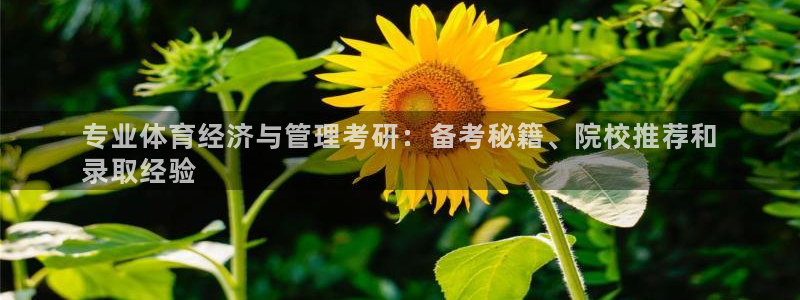 必一体育在线登录：专
