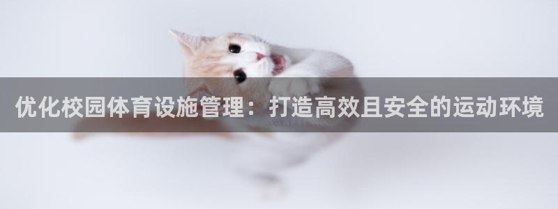 必一运动体育官网：优