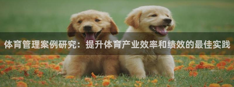 必一体育官方网站入口