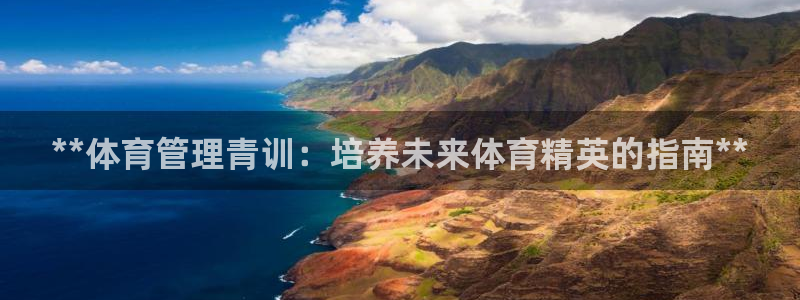 必一体育bsport