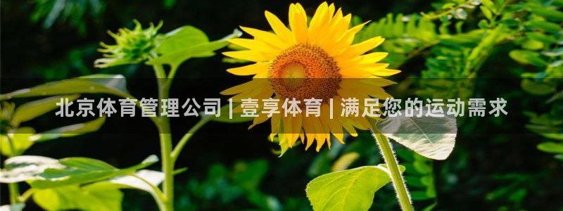 必一运动体育app：
