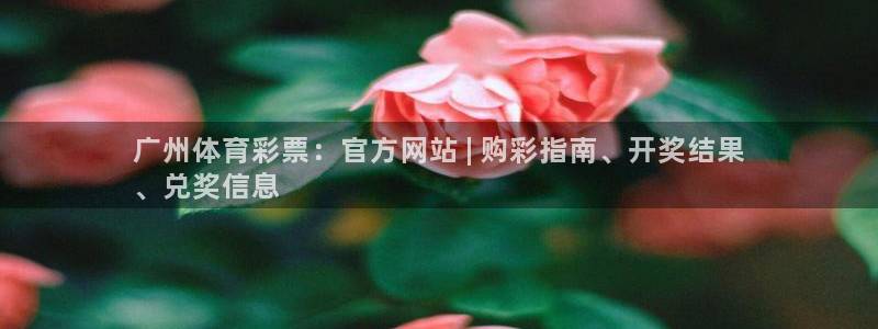 必一体育没了：广州体