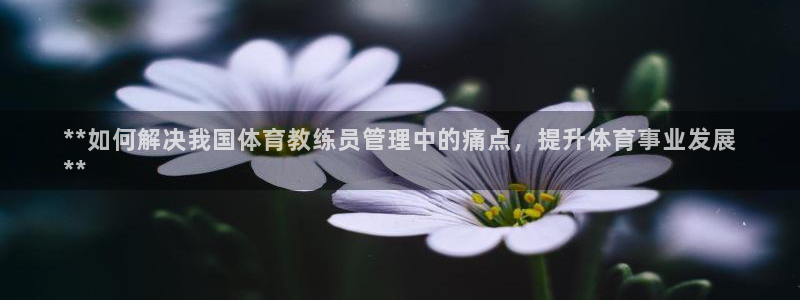 必一运动·(B-Sp