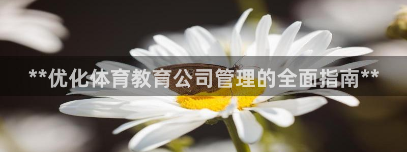 必一体育app平台下