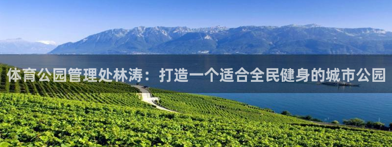 必一体育app官方网